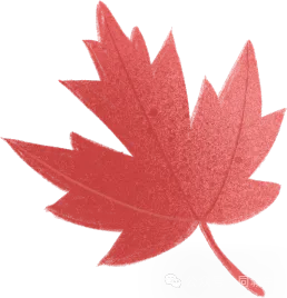 实体店今年要赚钱的关键，不是靠活动做得多，一定靠这个……